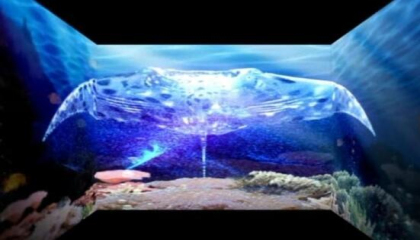 幻影成像技術(shù)可以應(yīng)用在哪些場所
